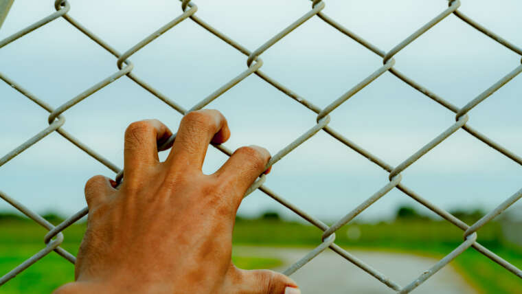 Revamp Immigration (Immigration Reform)